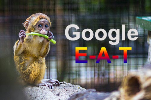 新Google质量评分指南“高质量页面”+“E-A-T”解析